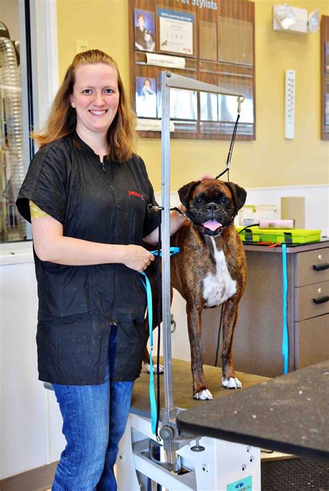 Make bath time easier with Petco's selection of dog grooming and bathing equipment. . Petco grooming time